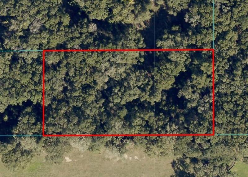 Undetermined, Ocala, FL 34480
