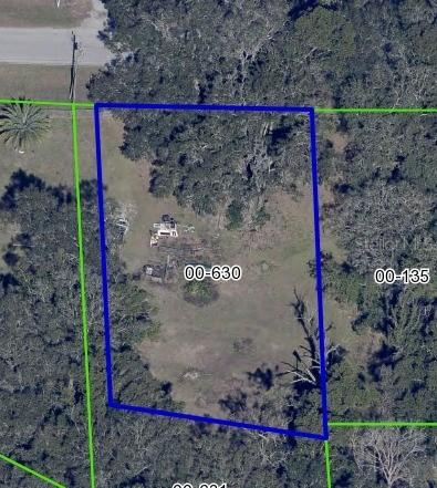 E 10th St., Apopka, FL 32703