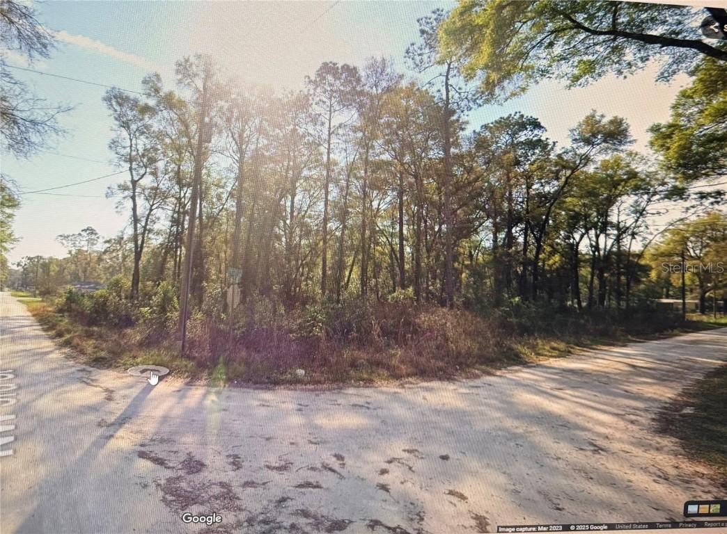 NW 136th Ct, Dunnellon, FL 34432