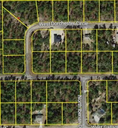 4150 W Dorchester Cir., Dunnellon, FL 34433