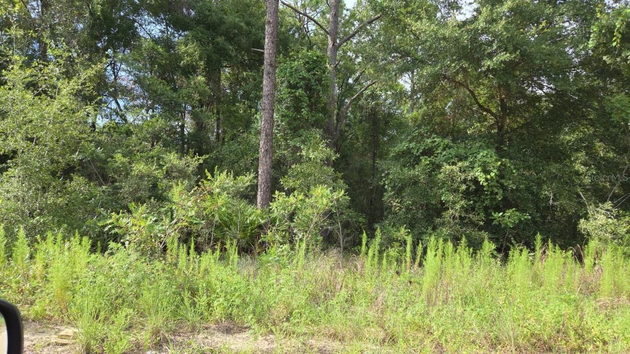 SW 49th Pl., Dunnellon, FL 34432