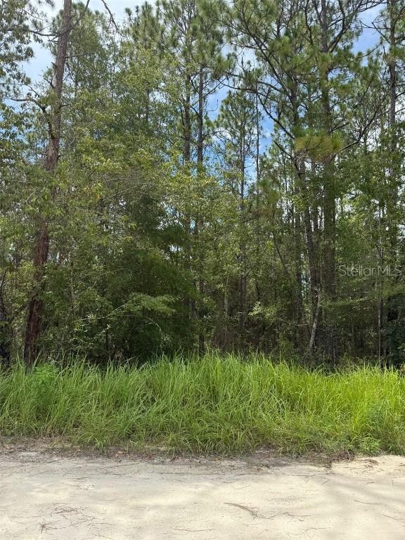 4500 SW 175th Ct., Dunnellon, FL 34432