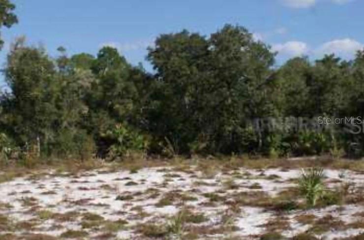 Quince Ave., Eustis, FL 32736