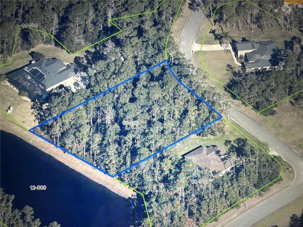 Arbor Glen Ct., Orlando, FL 32832