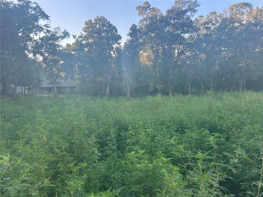 140th Pl., Summerfield, FL 34491
