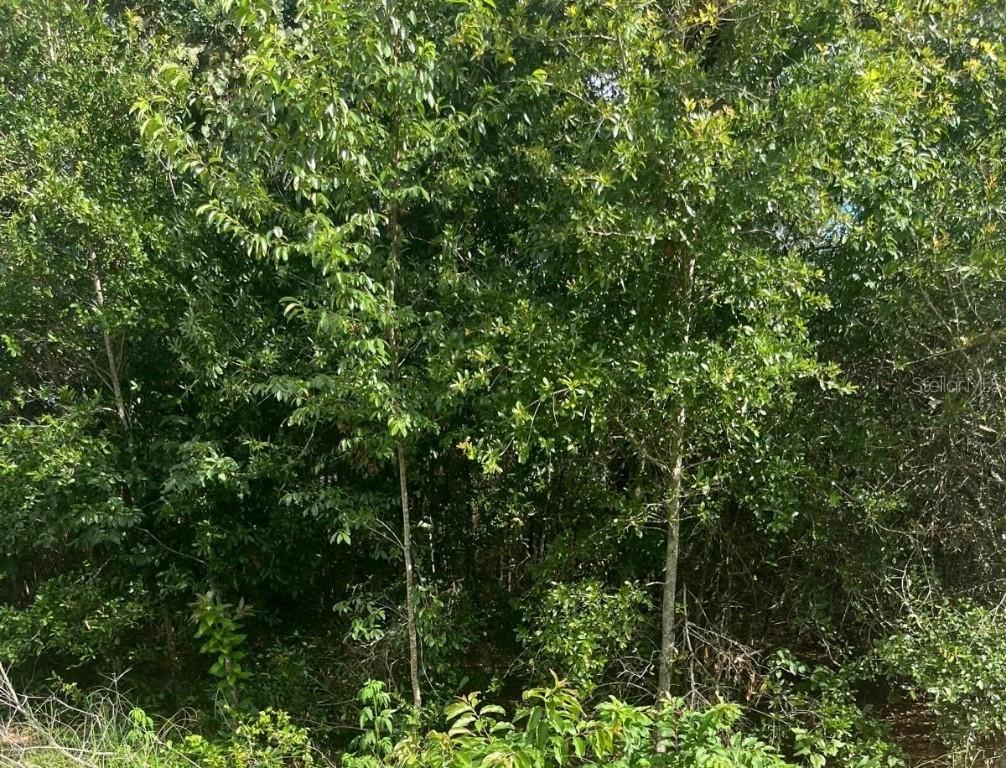 NW 57 Th Avenue, Ocala, FL 34482