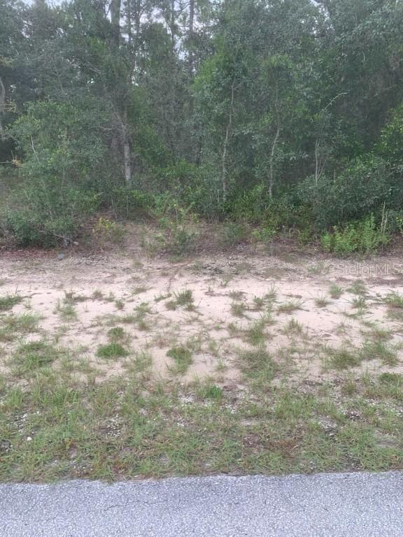 Sw Anchor. Lot 36 Blvd., Dunnellon, FL 34431