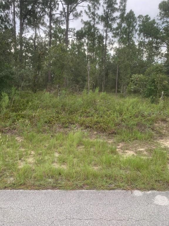 Sw Anchor. Lot 37 Blvd., Dunnellon, FL 34431