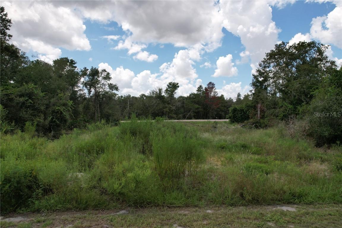 1416 Stuart Ln., Kissimmee, FL 34759