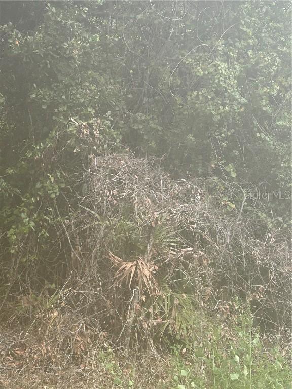 SE 105 Pl., Ocklawaha, FL 32179