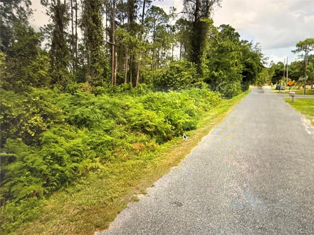 Fig Leaf St., St Cloud, FL 34769