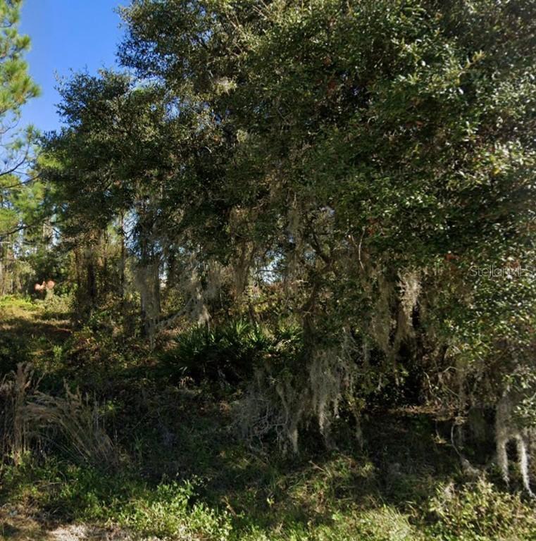1225 Wahneta Dr., Poinciana, FL 34759