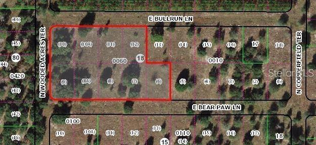2011 E Bear Paw Ln., Inverness, FL 34453