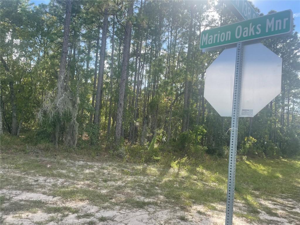 TBD SW Marion Oaks Manor, Ocala, FL 34473