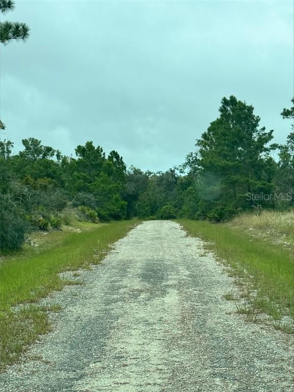 1217 & 1219 Cacao Rd., Lake Placid, FL 33852
