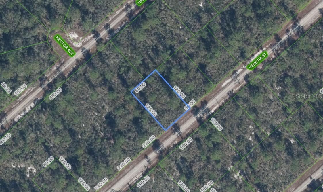 3535 Venetia St., Lake Placid, FL 33852