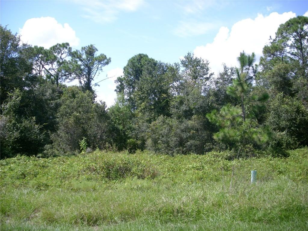 1343 Congo Ct., Kissimmee, FL 34759