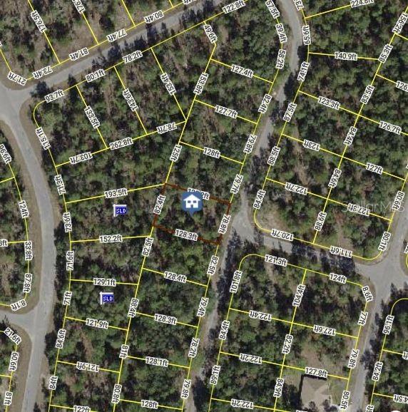 Fisher Course, Ocklawaha, FL 32179