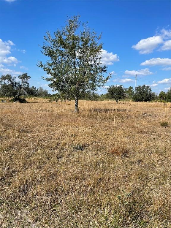 Hammermill Ave., Lake Wales, FL 33859