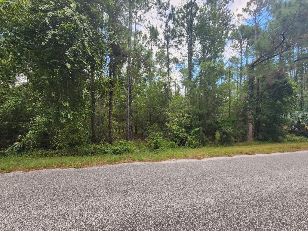 Quince Ave., Eustis, FL 32736