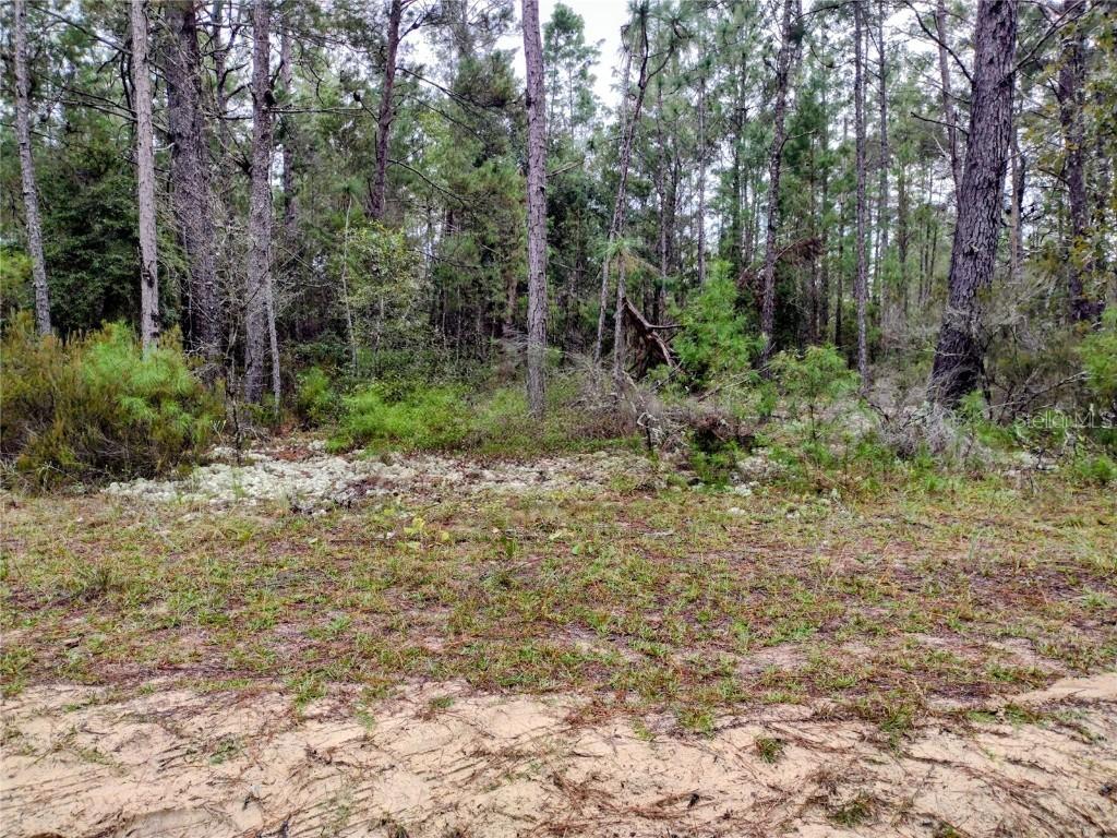 165 7th Way, Interlachen, FL 32148