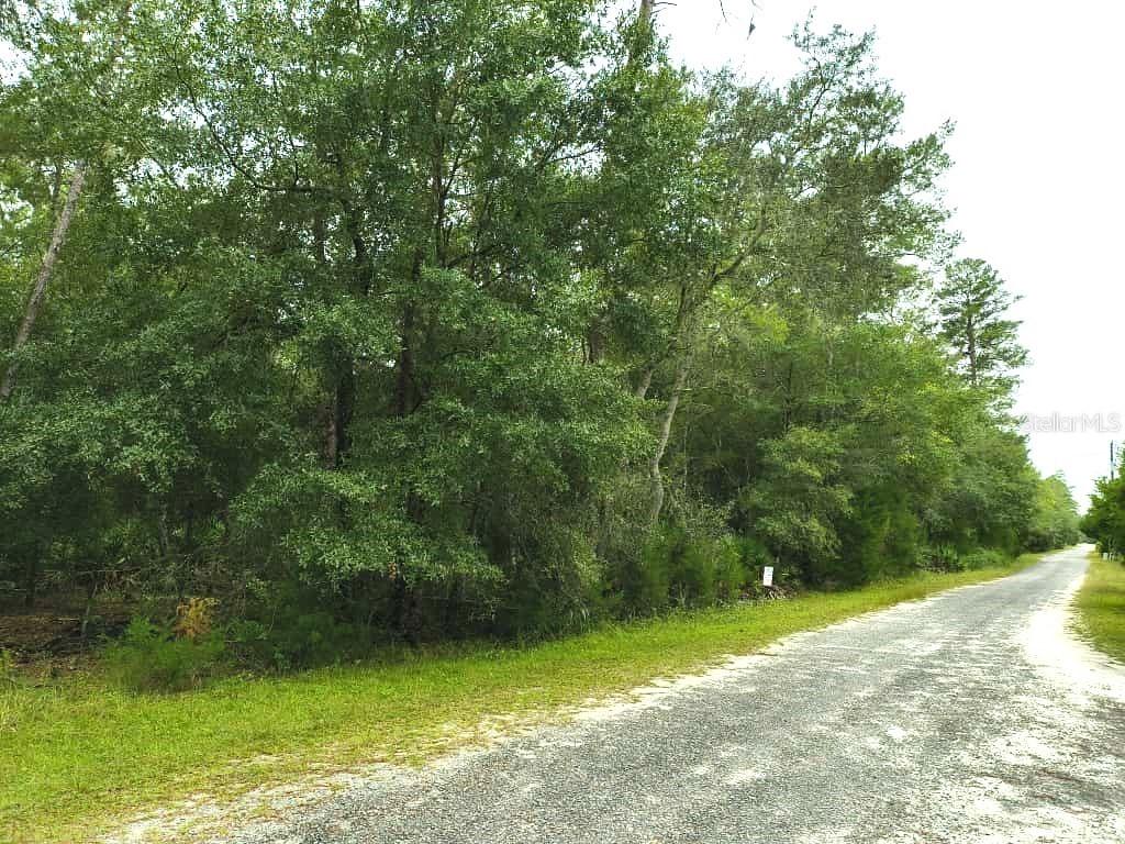 NE 247 Ln., Fort Mc Coy, FL 32134