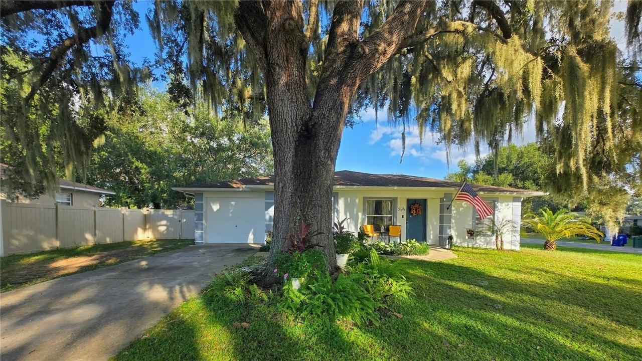 599 Magnolia Ridge Ave., Tavares, FL 32778