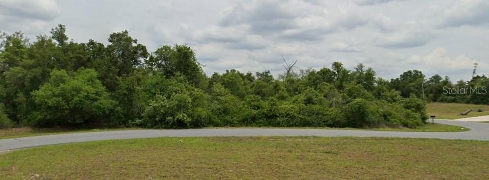157 SW Pl Rd., Ocala, FL 34473