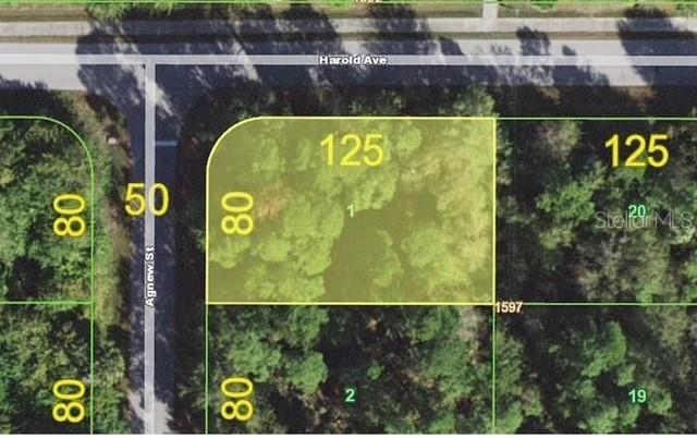 1158 Agnew St., Port Charlotte, FL 33980