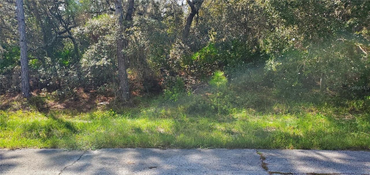 Marlin Dr., Poinciana, FL 34759