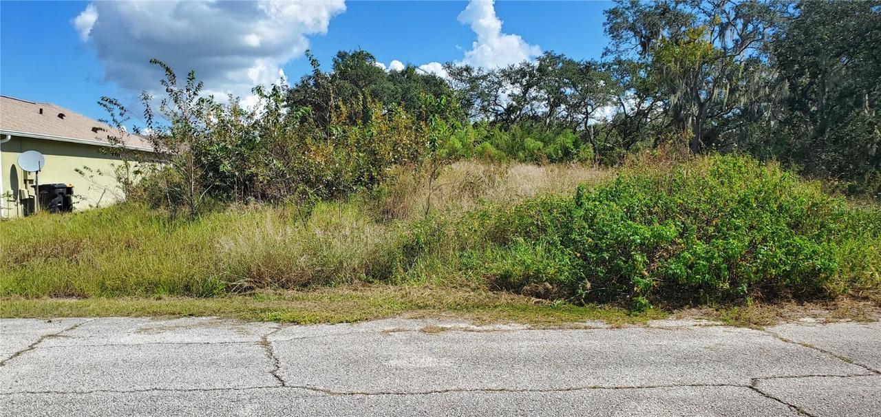 Sebring Ct., Poinciana, FL 34759
