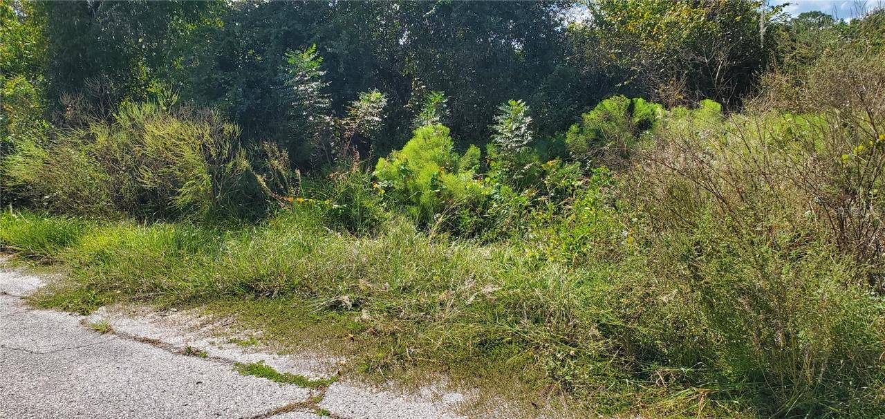 Sebring Ct., Poinciana, FL 34759