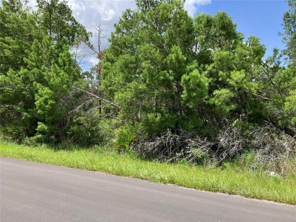 Forehand Rd., Davenport, FL 33896