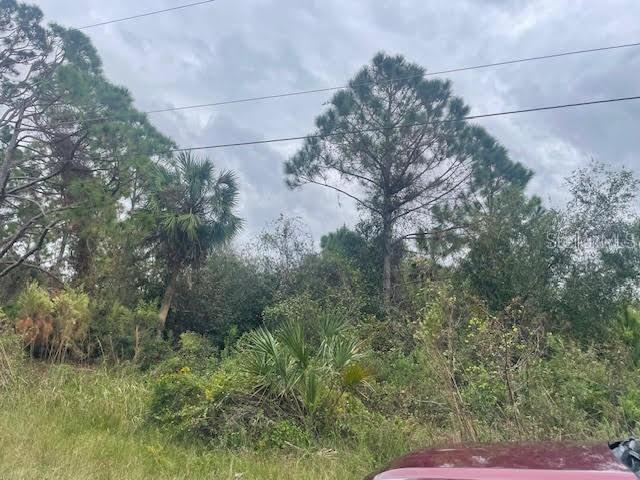 Cordova Ter., North Port, FL 34291