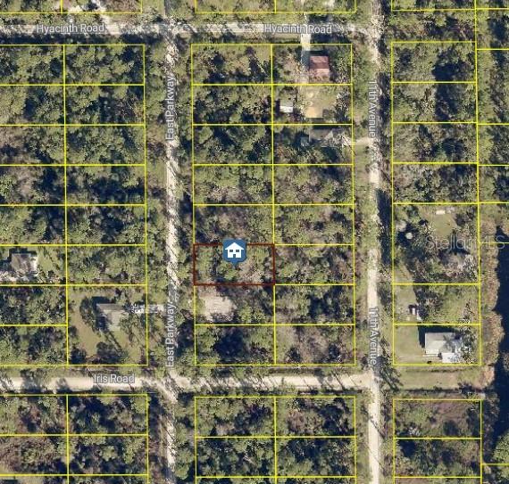 1535 East Pkwy., Deland, FL 32724