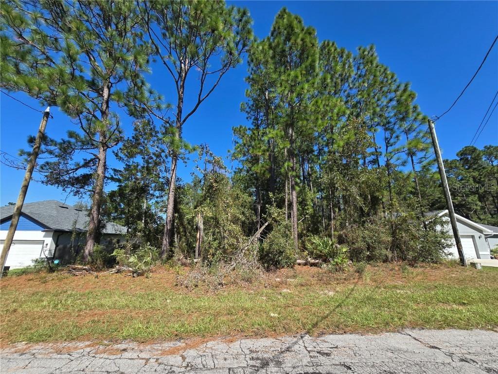 Lot 2 Sw 138th St., Ocala, FL 34473