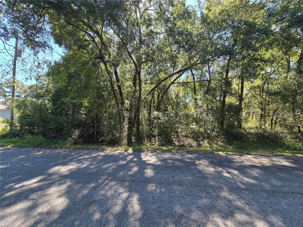 Lot 11 Nw 16th Pl., Ocala, FL 34482