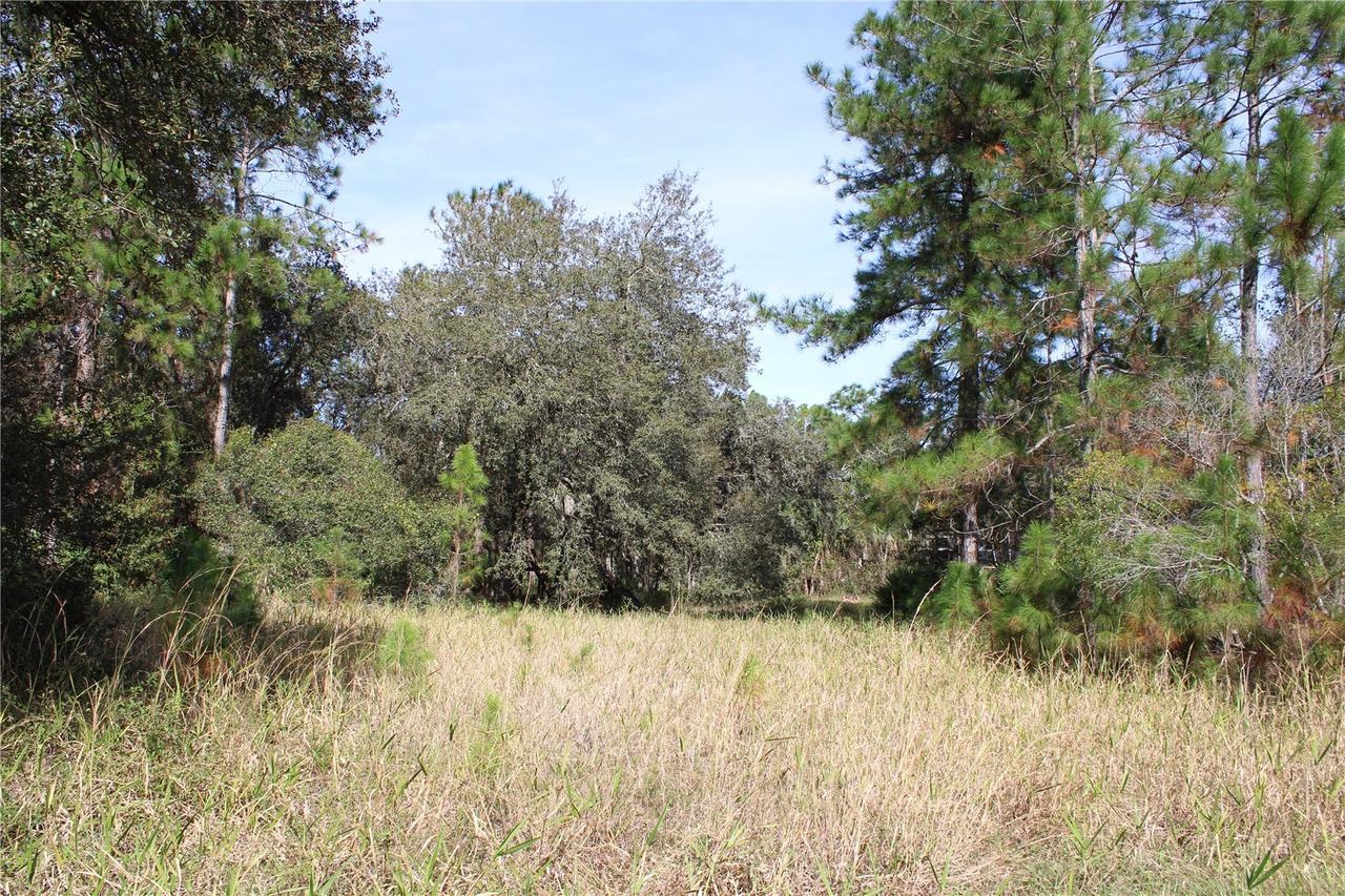 Duboise Dr., Clermont, FL 34711