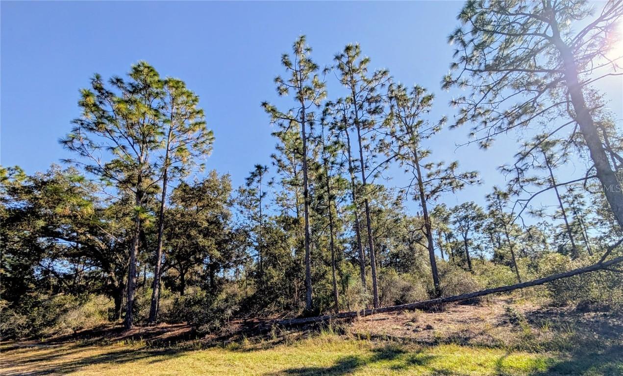 609 Indian Lake Dr., Indian Lake Estates, FL 33855