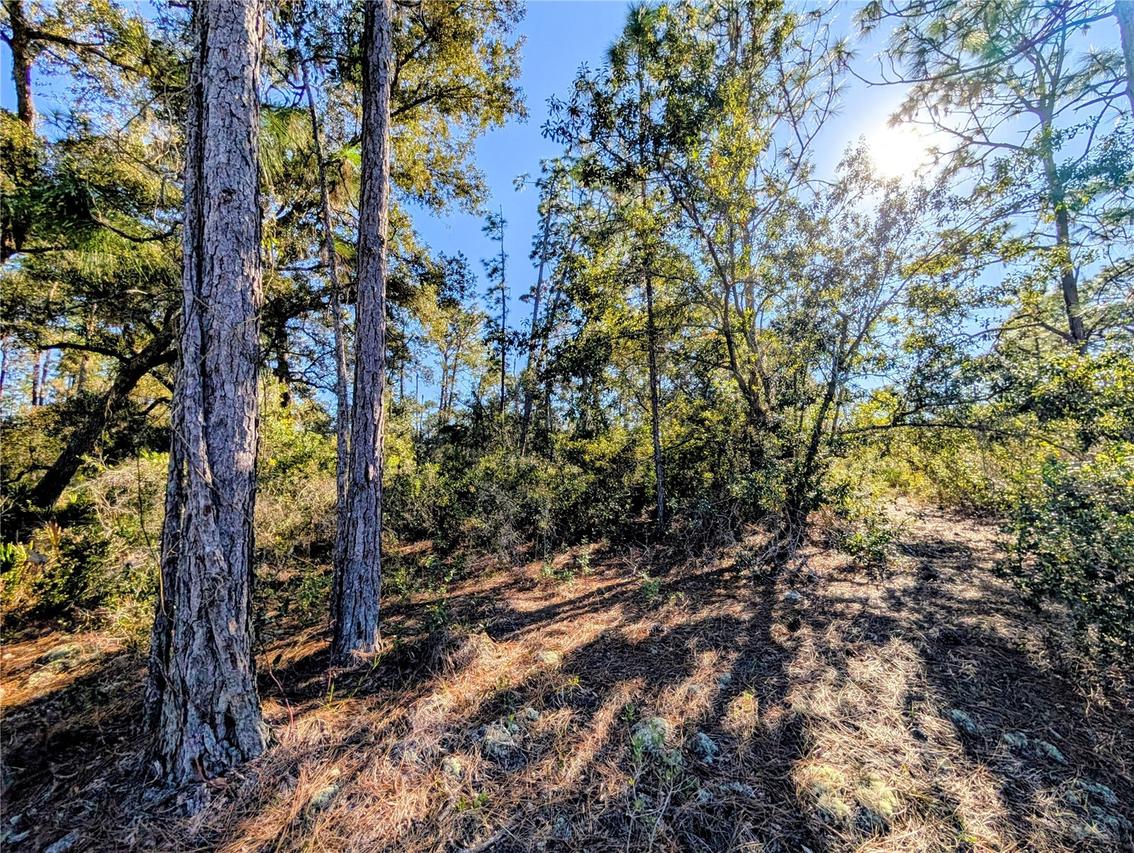 609 Indian Lake Dr., Indian Lake Estates, FL 33855