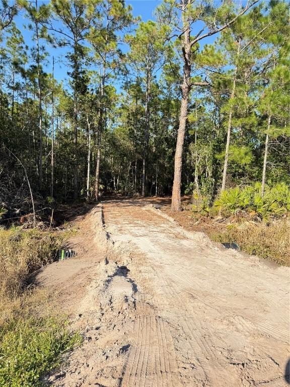 E Colonial Dr., Christmas, FL 32709