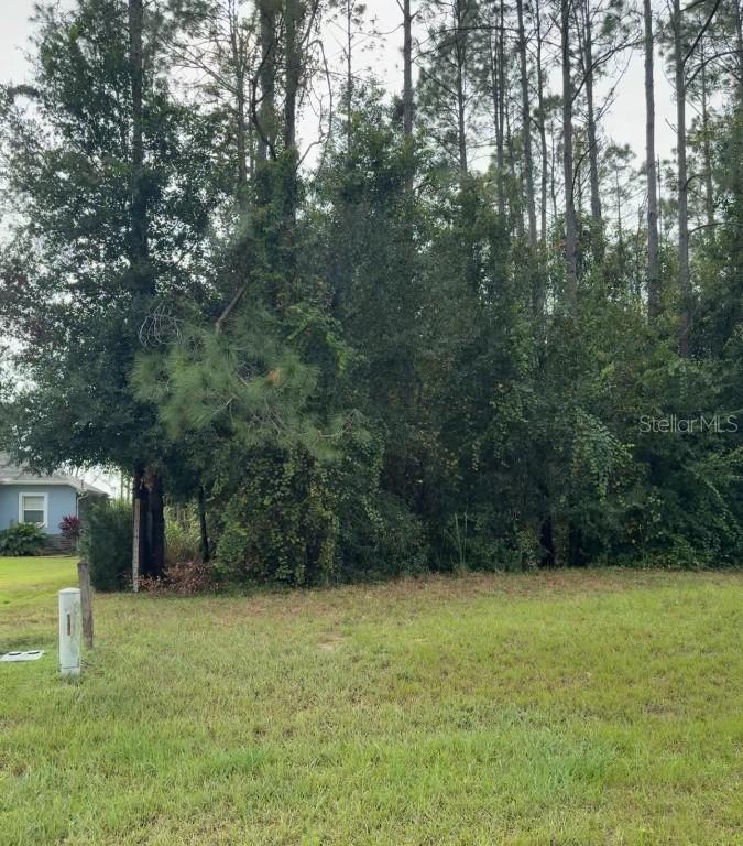 Lake Smith Rd., Umatilla, FL 32784