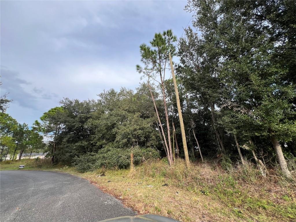 110 Sail Way, Kissimmee, FL 34759