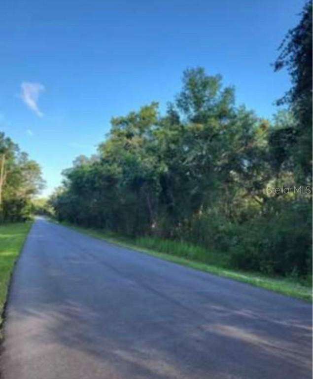 33340 Tombstone St., Webster, FL 33597