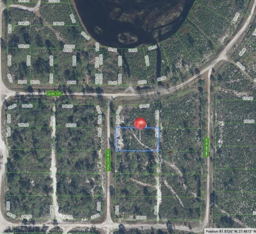 226 Peacock Blvd., Sebring, FL 33872