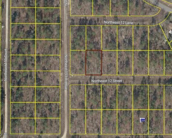 Tbd Ne 12 St., Williston, FL 32696