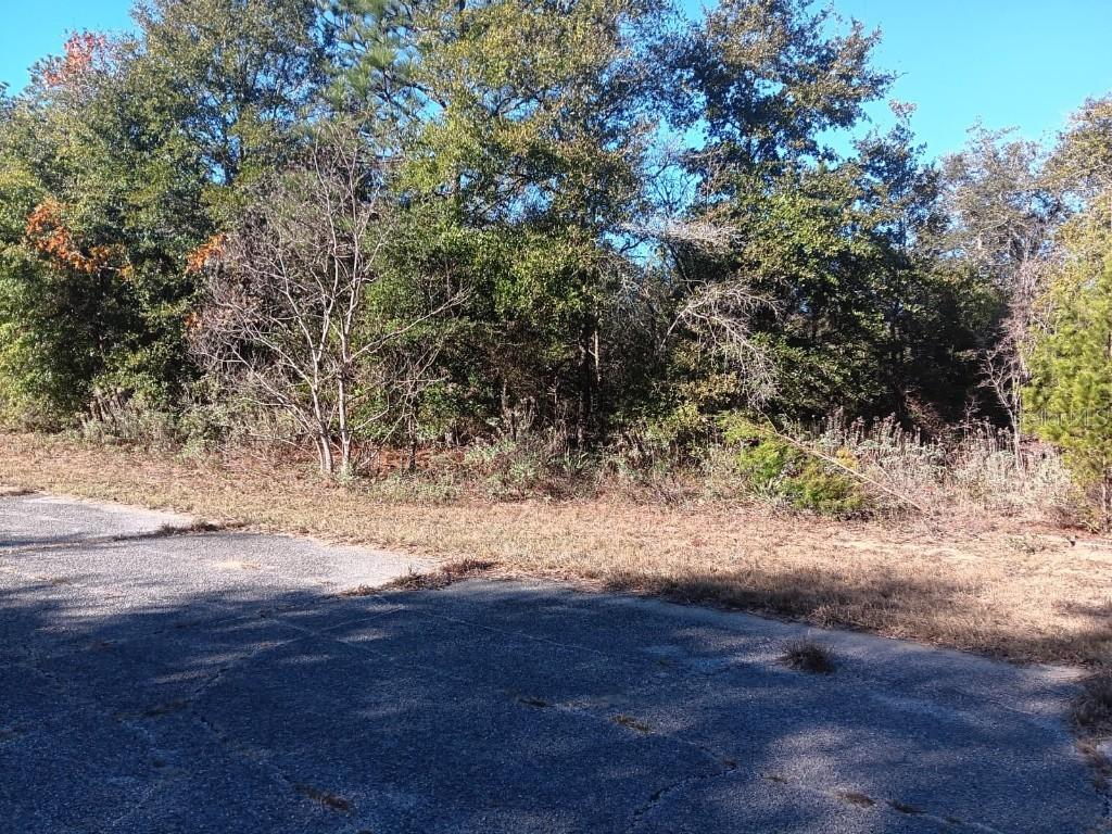 Malone, Chipley, FL 32428