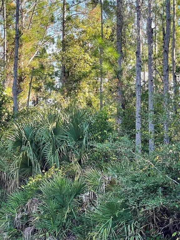 Old Train Rd., Deltona, FL 32738