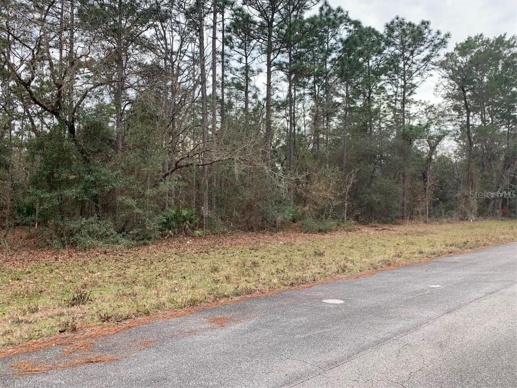 156 St, Ocala, FL 34473