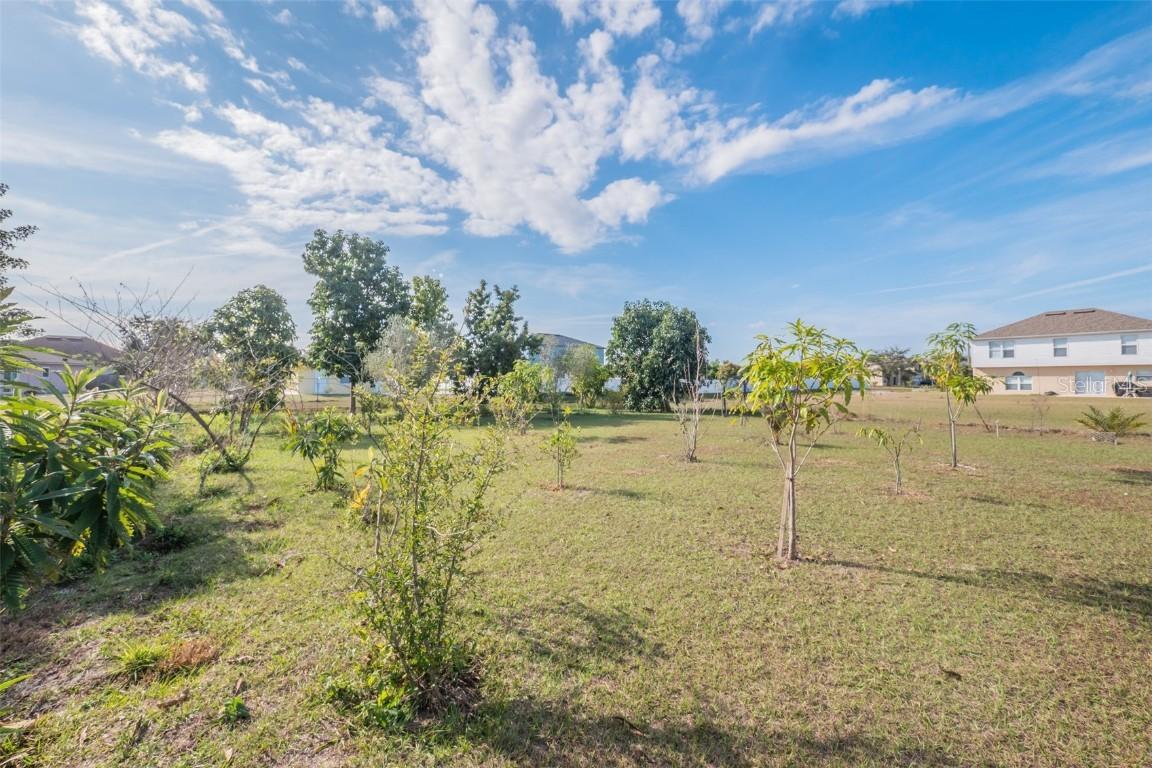 195 Aureila Ct, Kissimmee, FL 34758